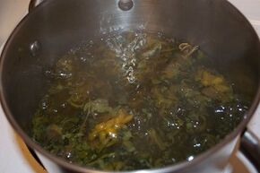 trattamento delle vene varicose con decotti